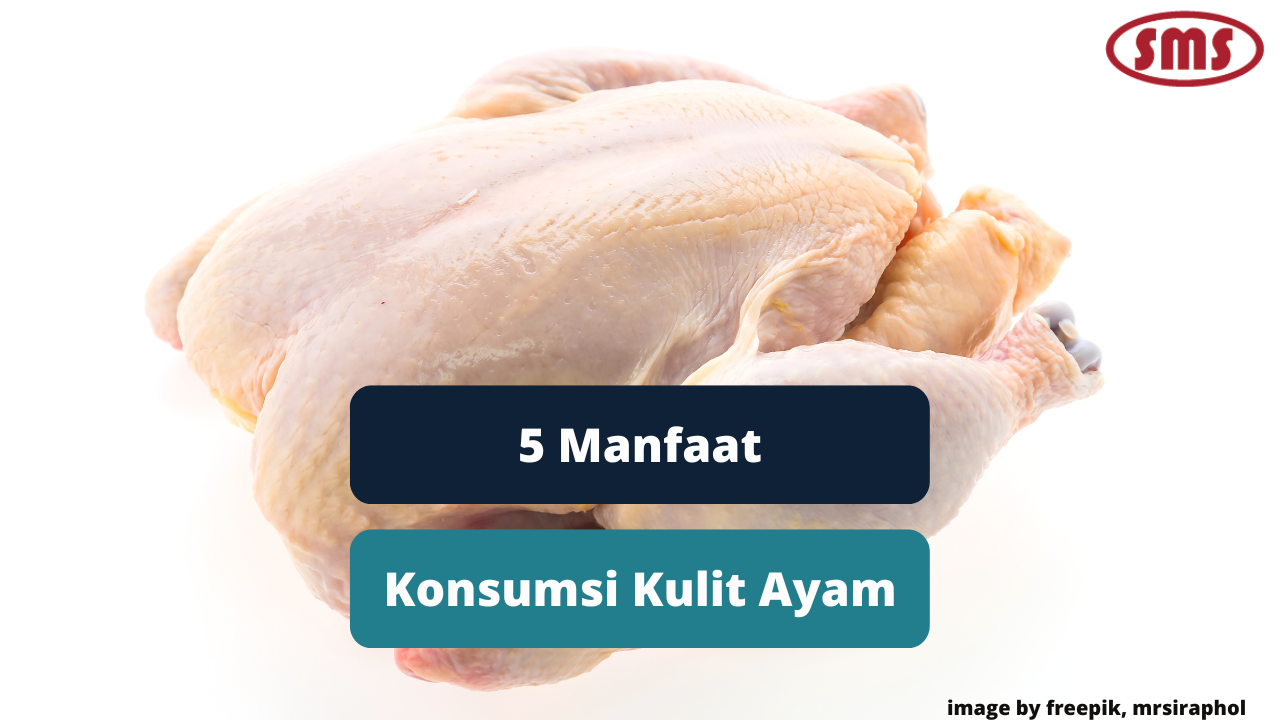Berikut Ini 5 Manfaat Konsumsi Kulit Ayam Bagi Tubuh